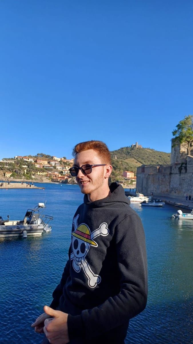 Profil de Sabri